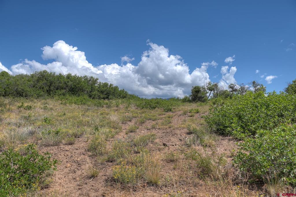 837361 Property Photo 36