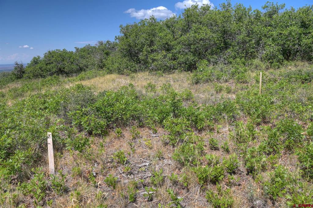 837361 Property Photo 37
