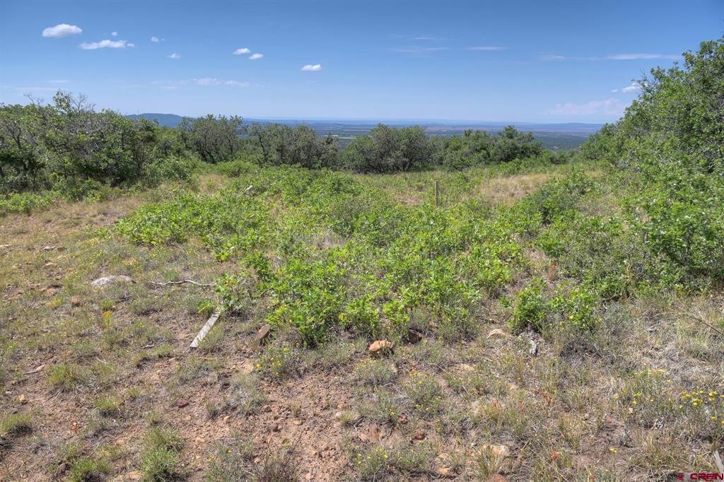 837361 Property Photo 38