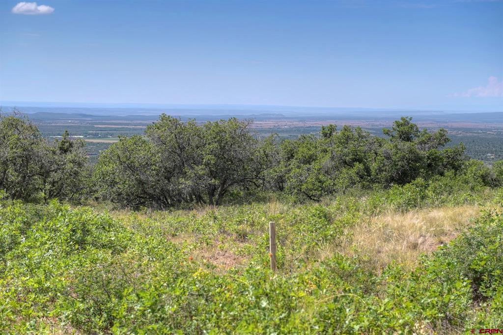 837361 Property Photo 39