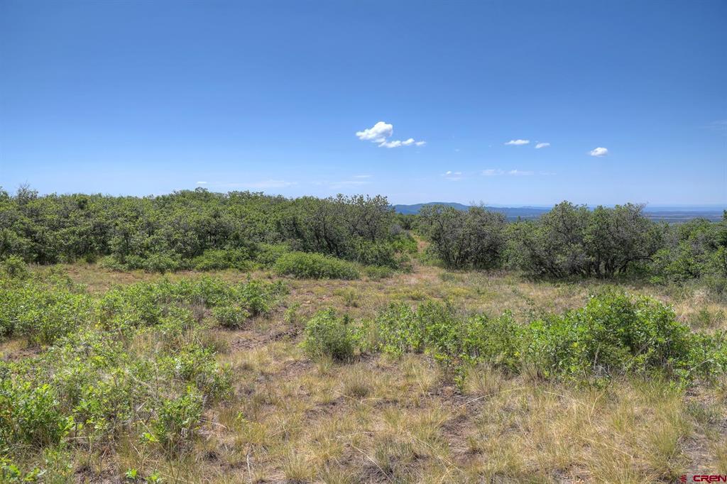 837361 Property Photo 40