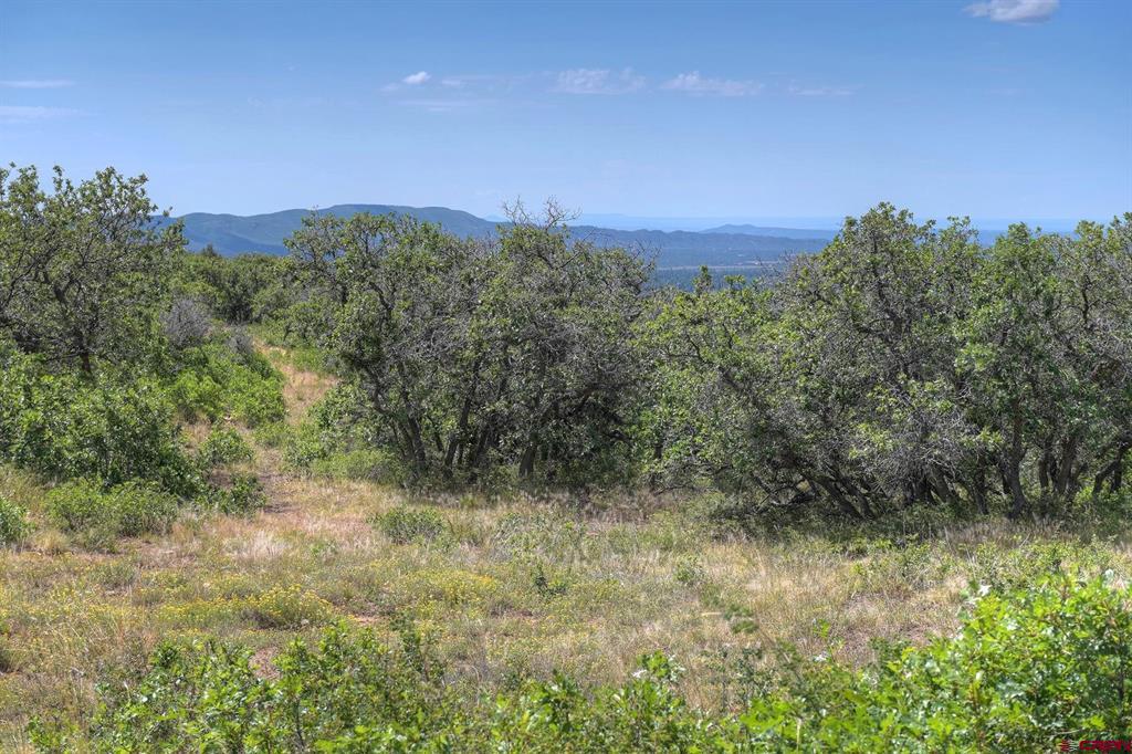 837361 Property Photo 41
