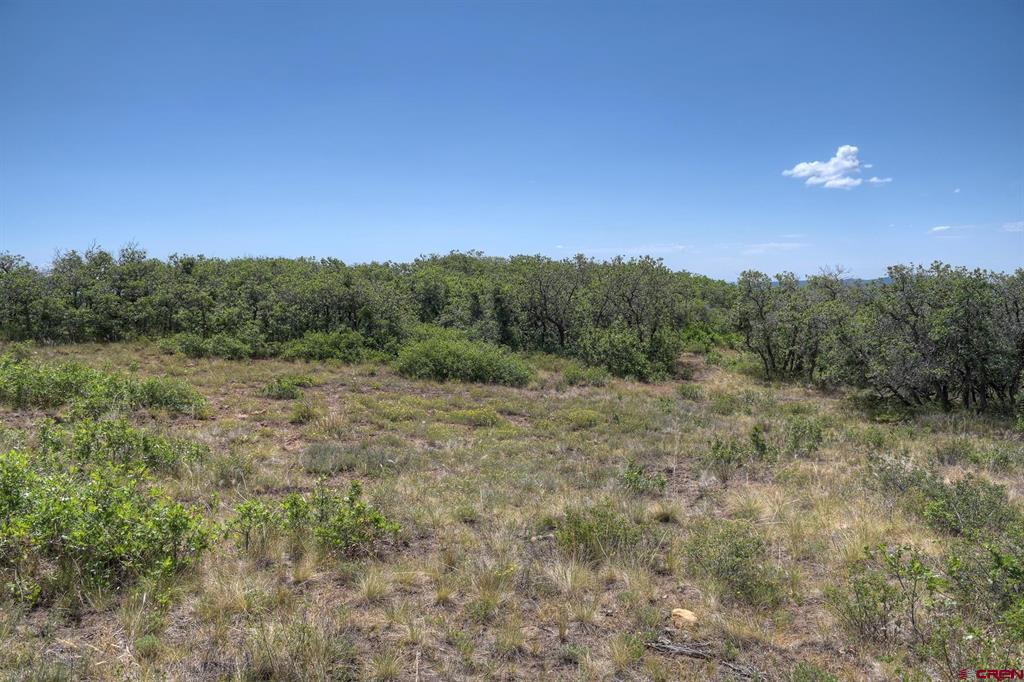 837361 Property Photo 42