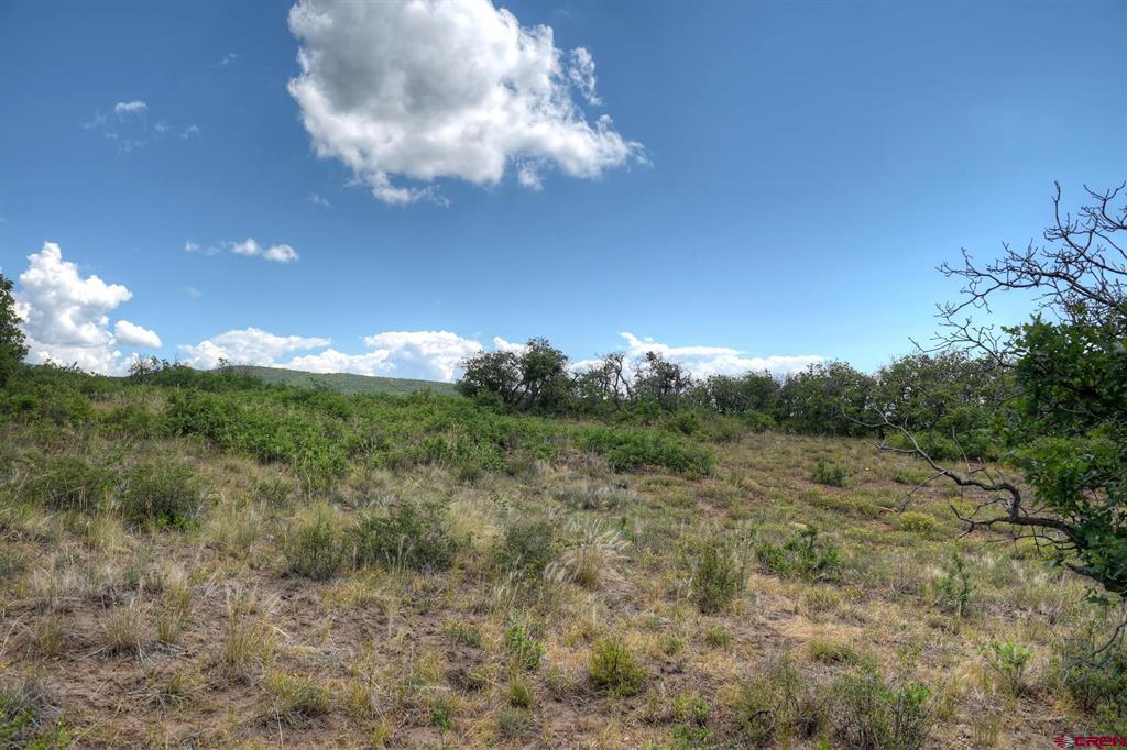 837361 Property Photo 43