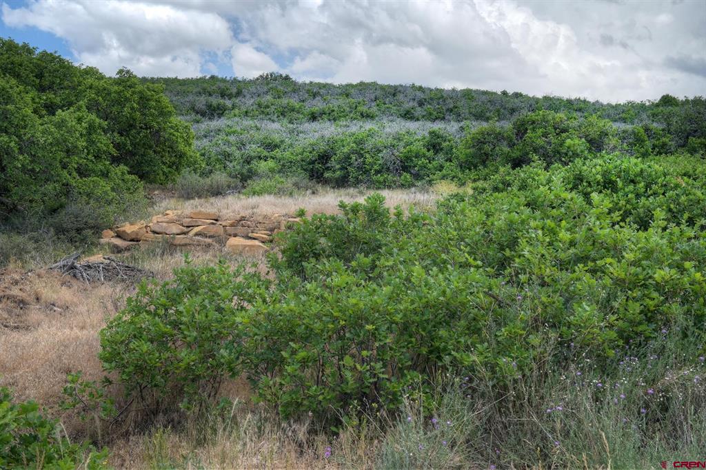 837361 Property Photo 44