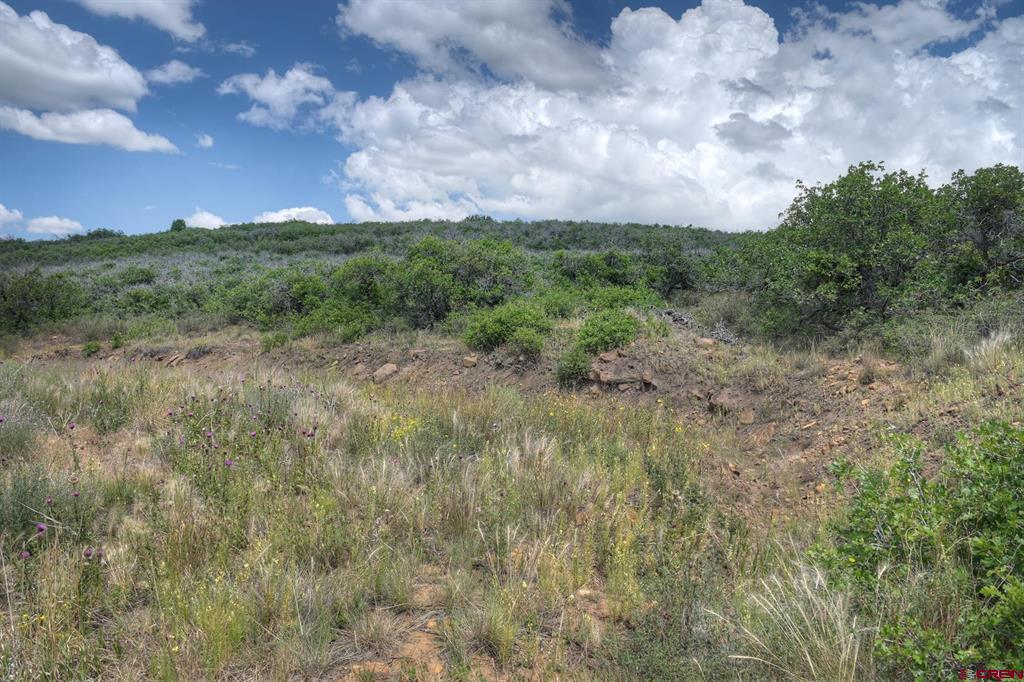 837361 Property Photo 45