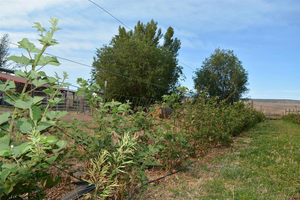 31984 Lazear Road Property Photo 31