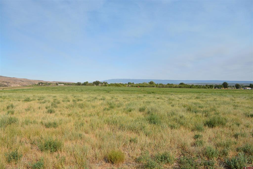 31984 Lazear Road Property Photo 42