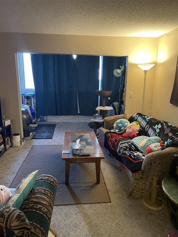 1135 Florida Road Property Photo 1