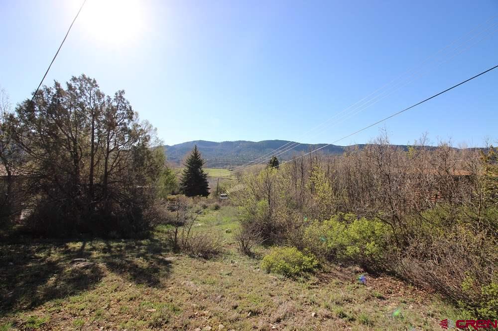 755 Animas View Drive Property Photo 10