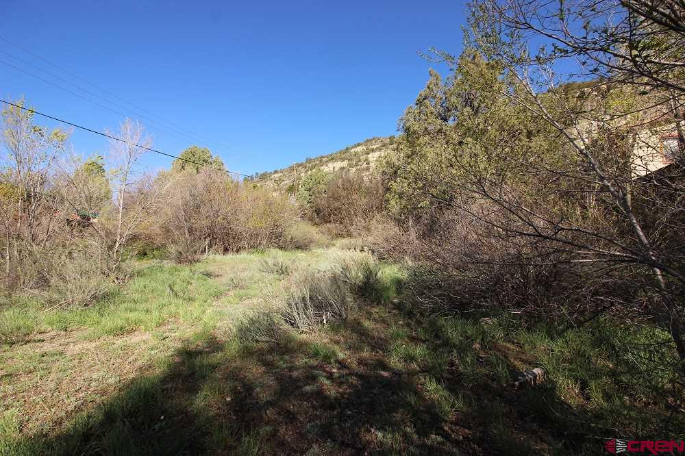 755 Animas View Drive Property Photo 11