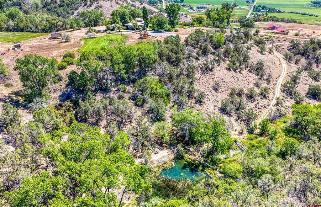 36600 Walker Springs Road Property Photo 32