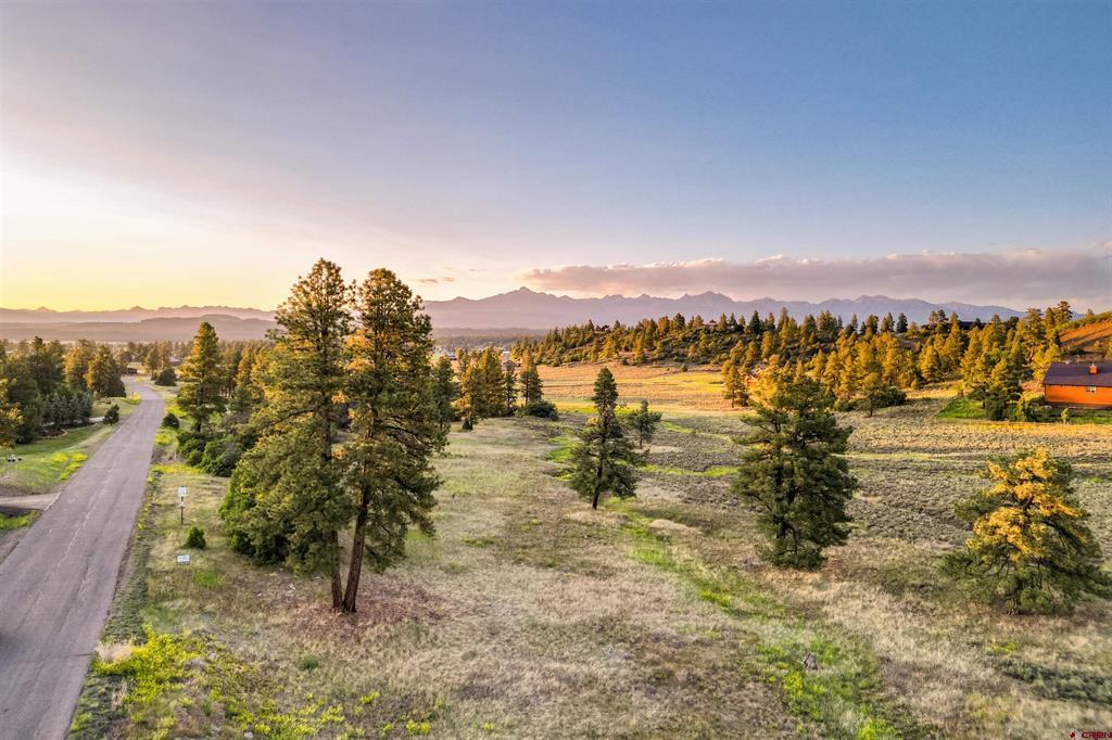 350 Bristlecone Drive Property Photo