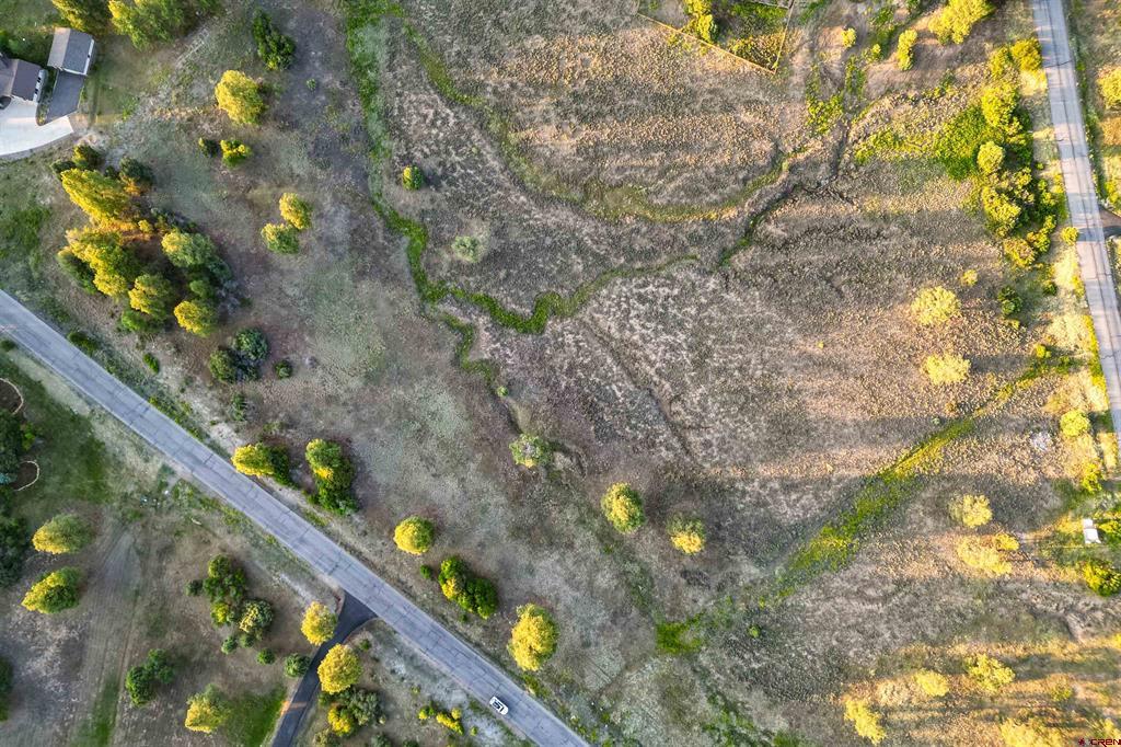 350 Bristlecone Drive Property Photo 4