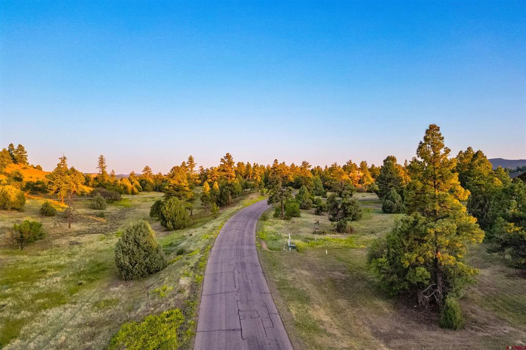 350 Bristlecone Drive Property Photo 18