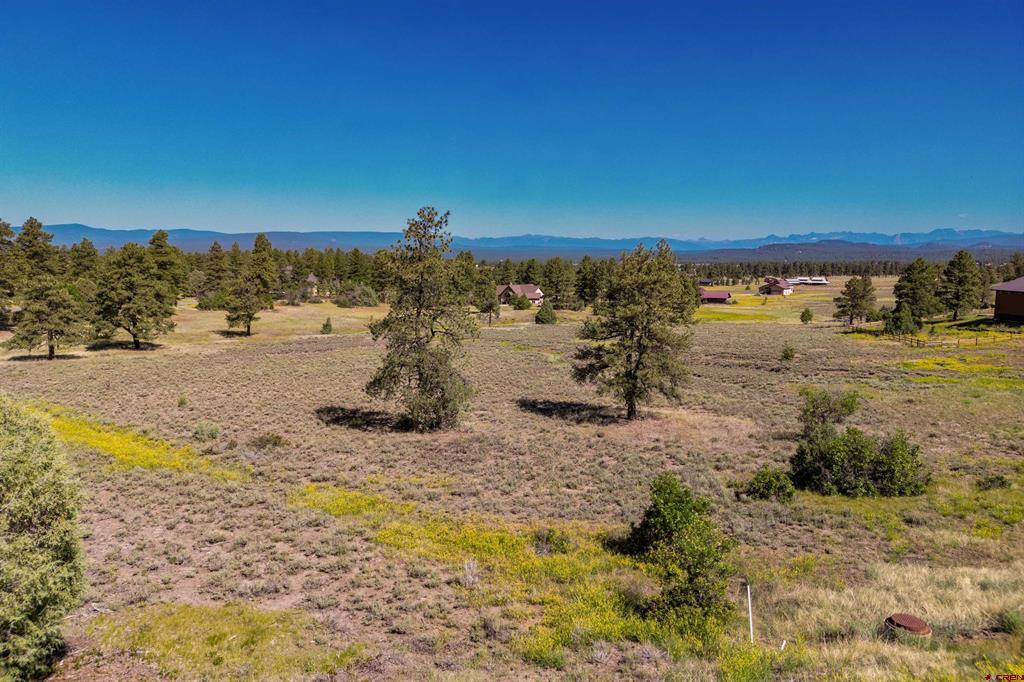 350 Bristlecone Drive Property Photo 19