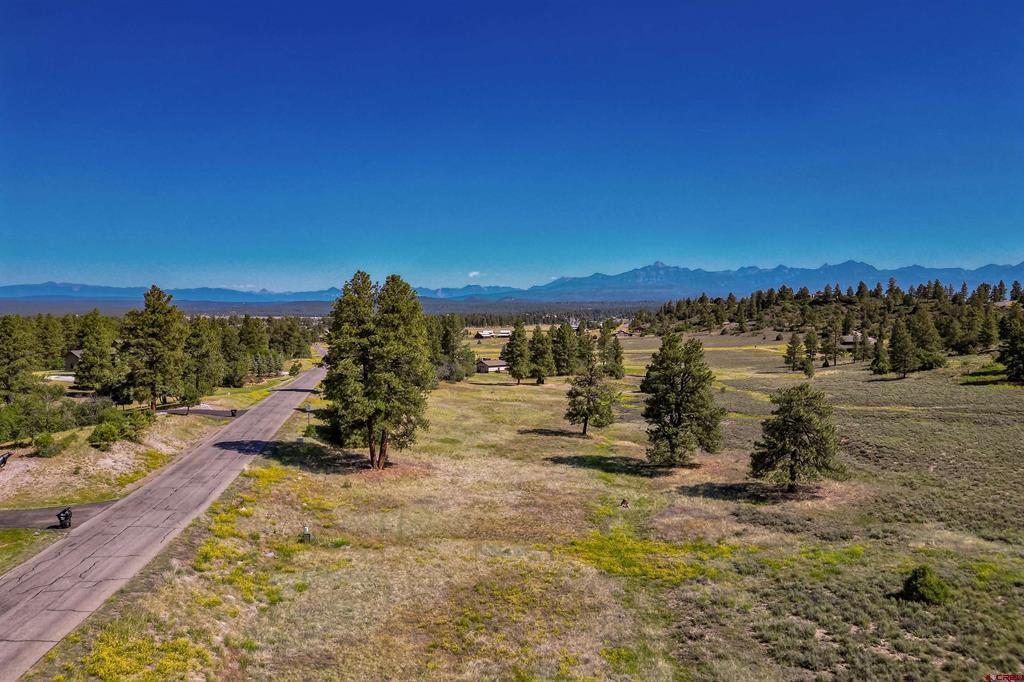 350 Bristlecone Drive Property Photo 20