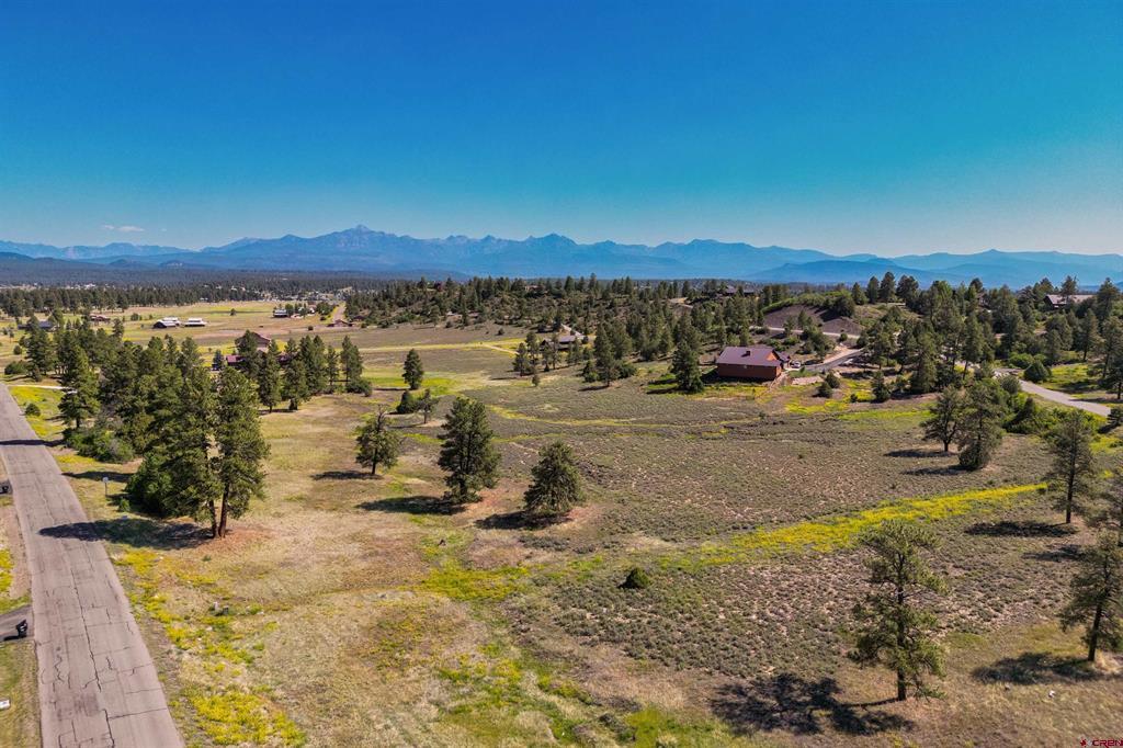350 Bristlecone Drive Property Photo 21