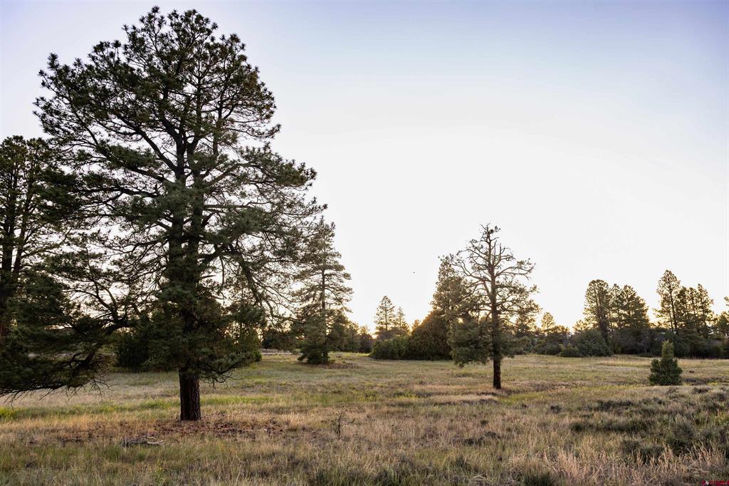 350 Bristlecone Drive Property Photo 22