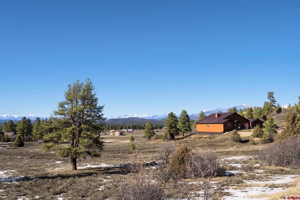 350 Bristlecone Drive Property Photo 28