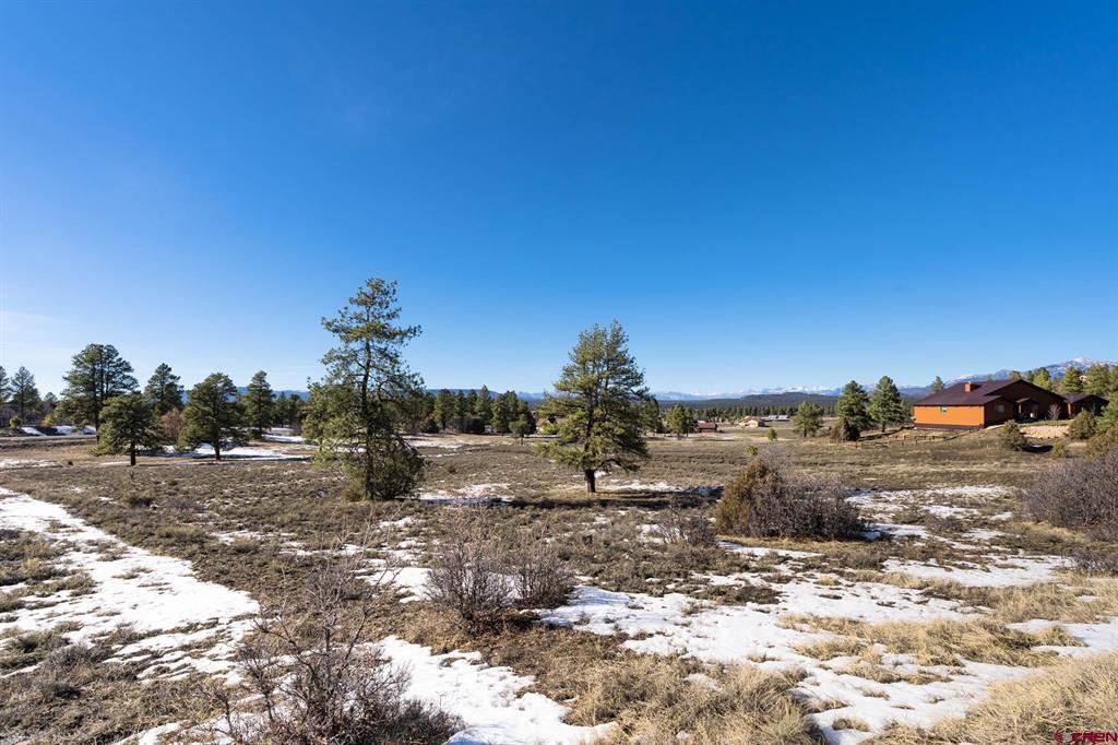 350 Bristlecone Drive Property Photo 31