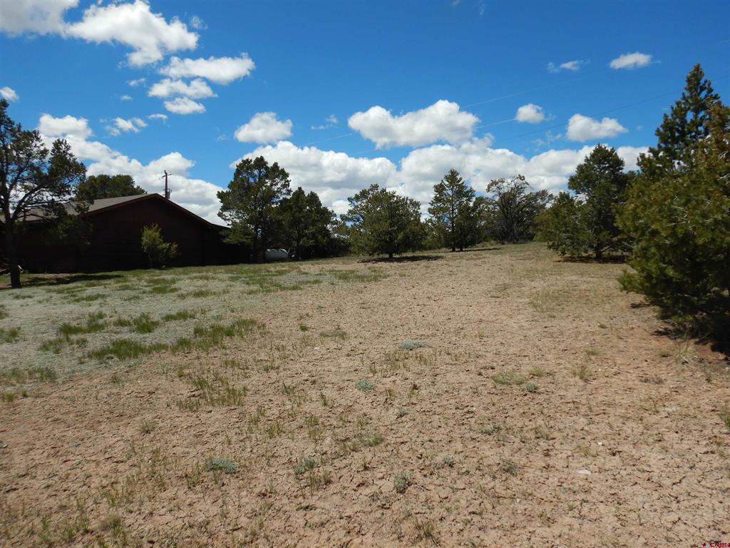 395 Kit Carson Road Property Photo 38