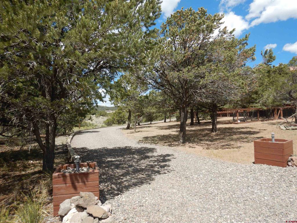 395 Kit Carson Road Property Photo 42
