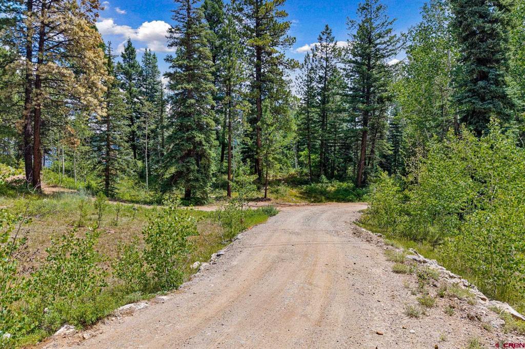 Tbd E Spruce Mesa Drive Property Photo 12