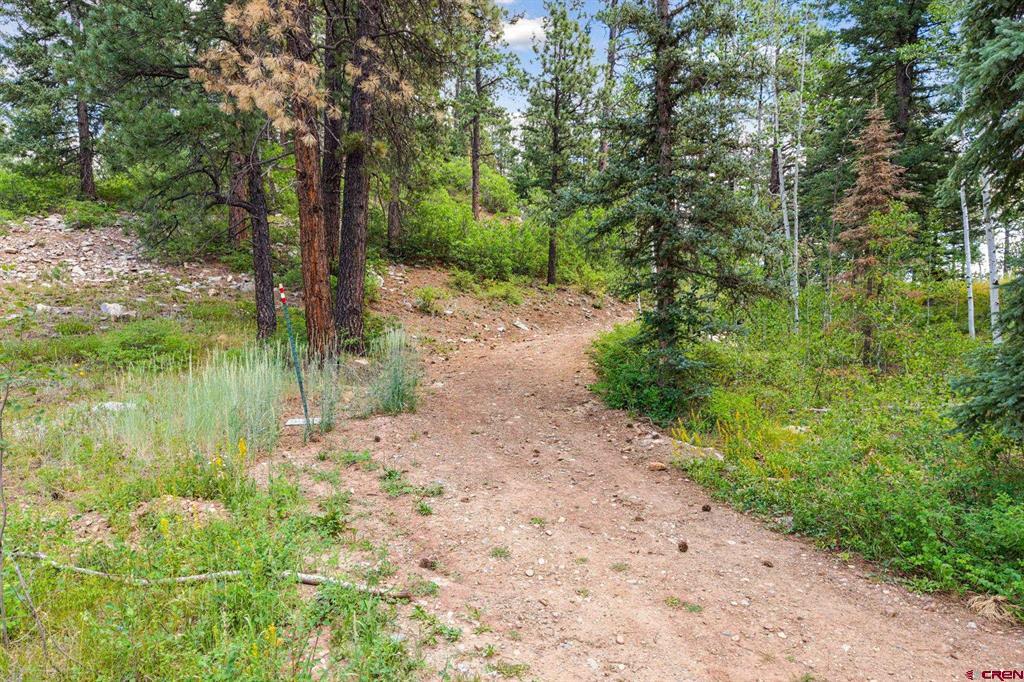 Tbd E Spruce Mesa Drive Property Photo 13