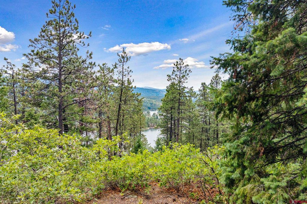 Tbd E Spruce Mesa Drive Property Photo 21