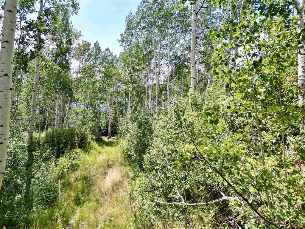 189 Taloga Road Property Photo 11