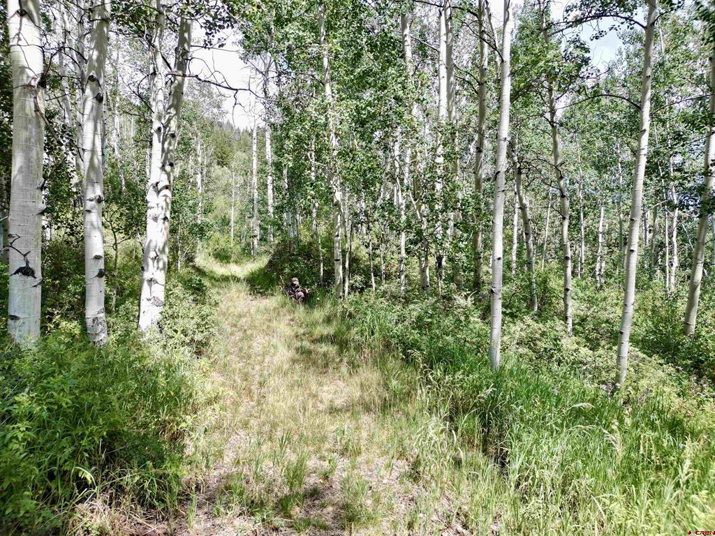 189 Taloga Road Property Photo 14