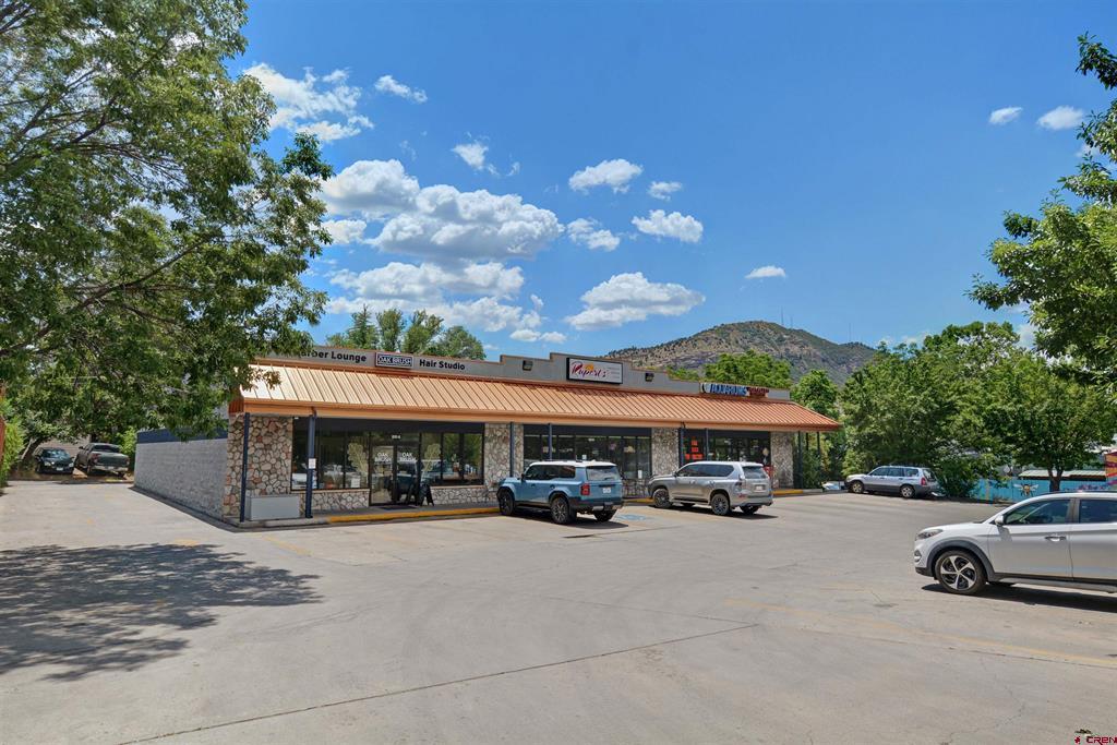 810 E College Drive Property Photo 27