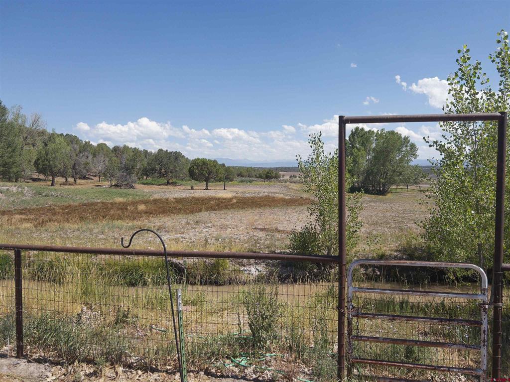 3350 County Road 319 Property Photo 21