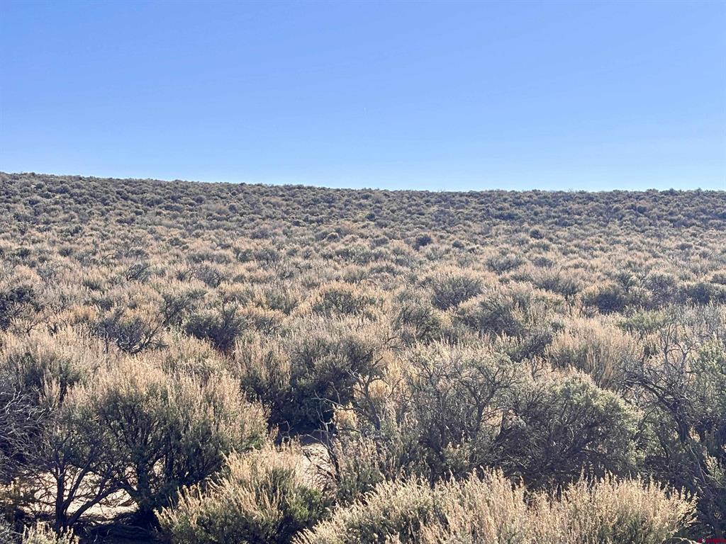Lot 33 Unit R Blk 25 San Luis Valley Ranches Property Photo 3