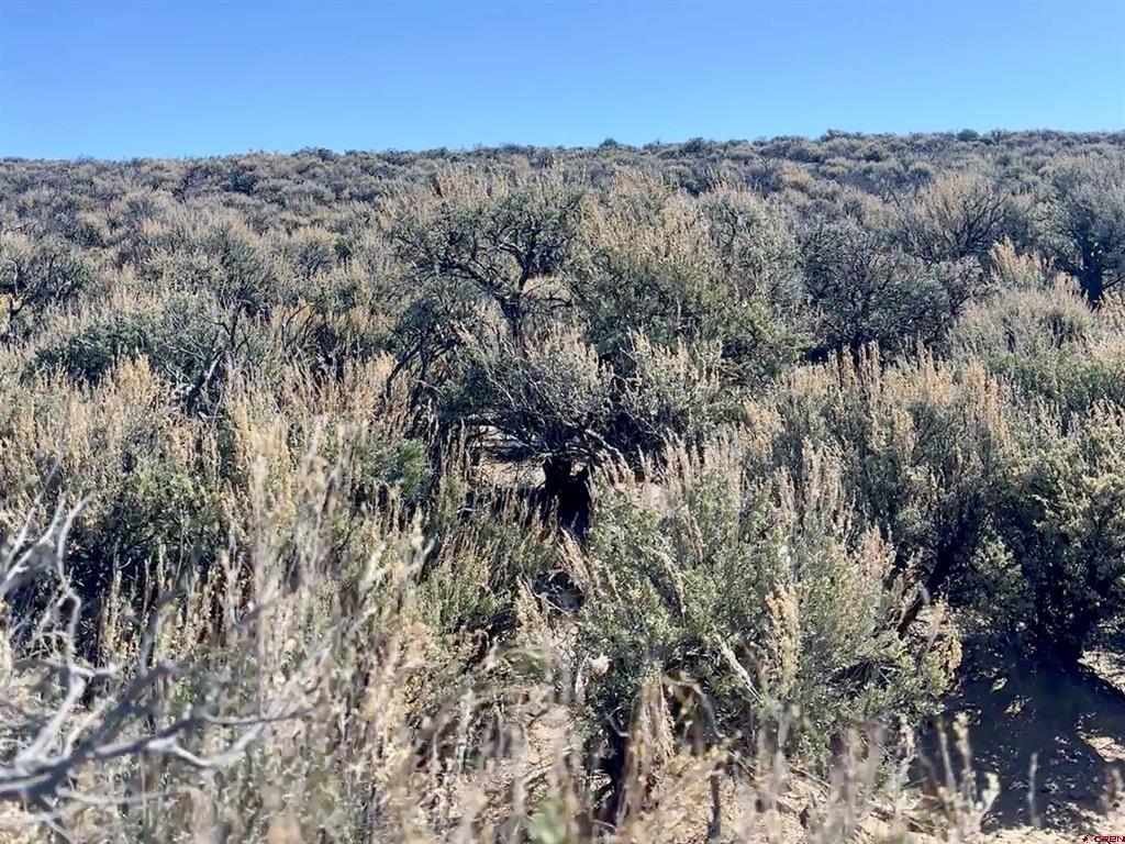 Lot 33 Unit R Blk 25 San Luis Valley Ranches Property Photo 7