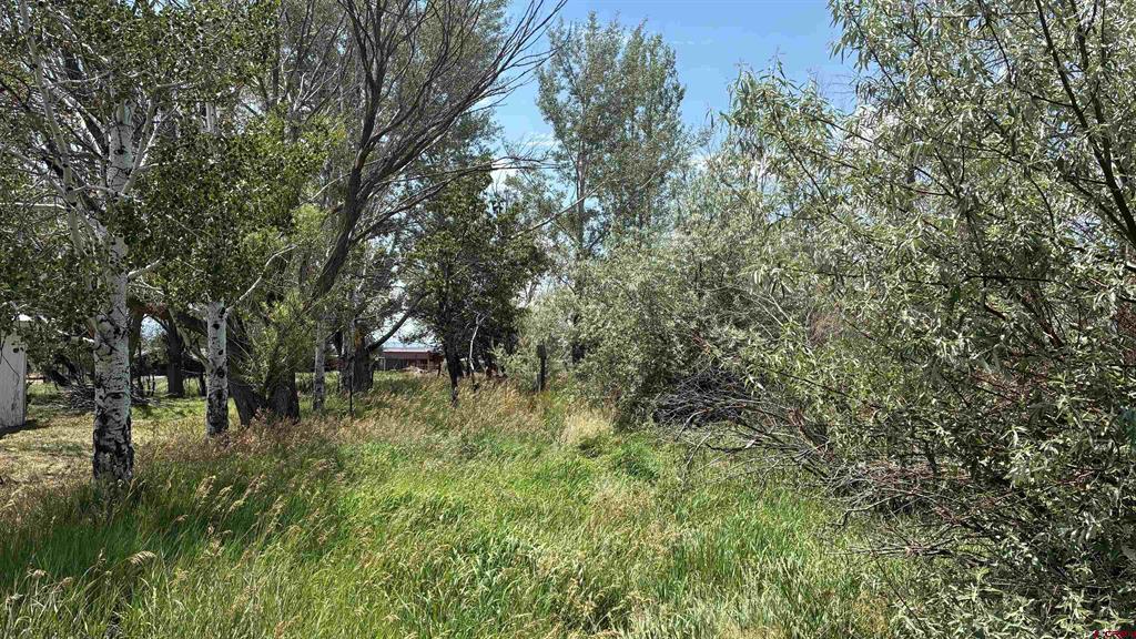 20289 Road S.7 Property Photo 7
