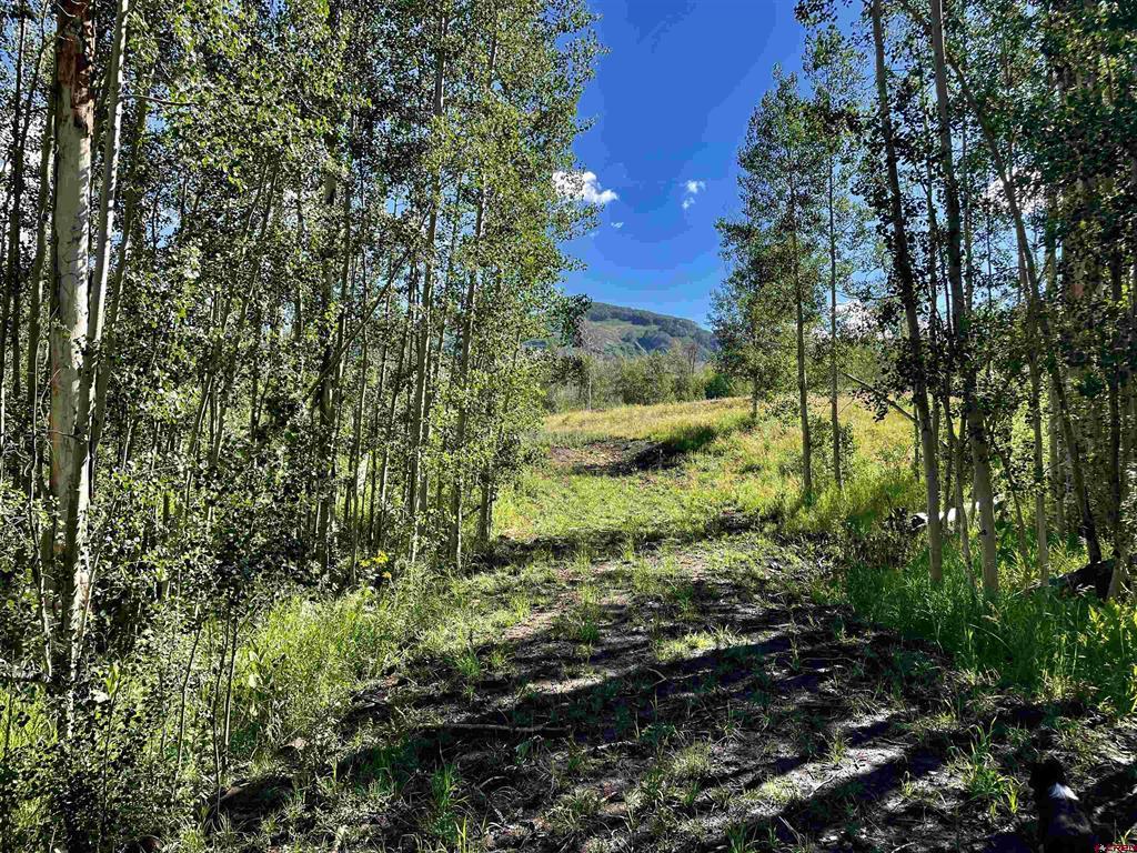 Lot 13 Groundhog Vista Property Photo 1