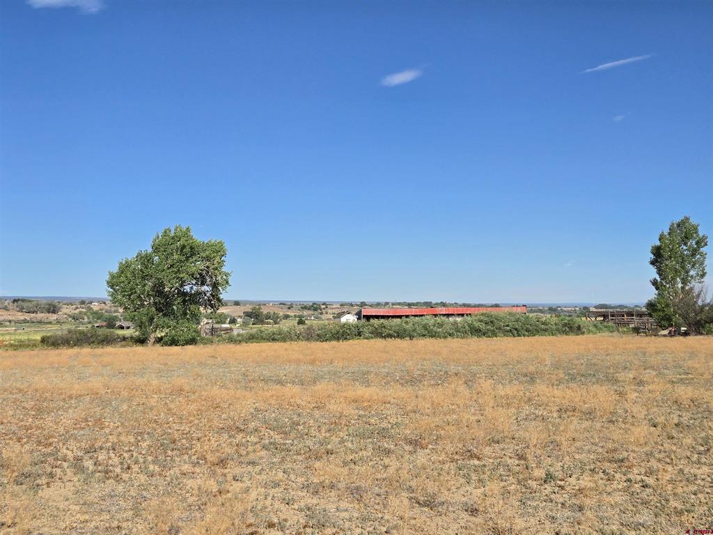 Tbd Rose Rd Property Photo 5