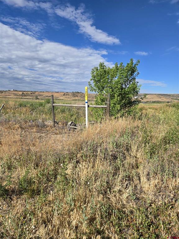 Tbd Rose Rd Property Photo 7