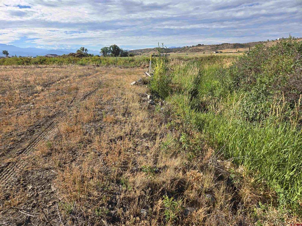 Tbd Rose Rd Property Photo 8