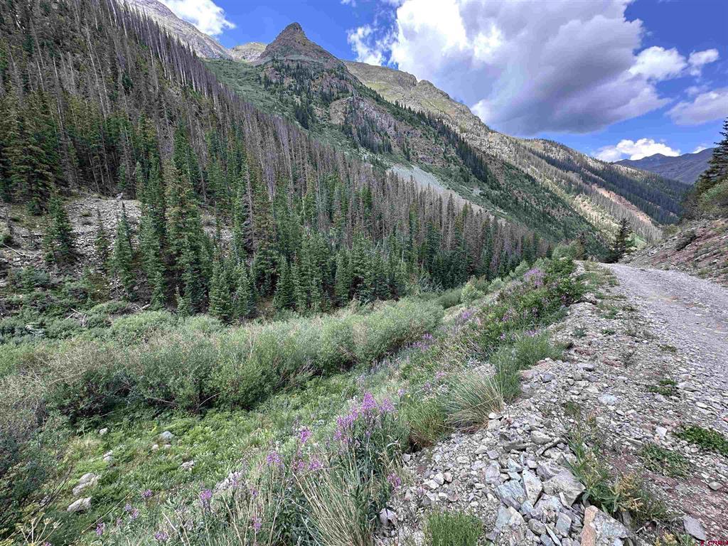 Forester Cr 23 Property Photo 1
