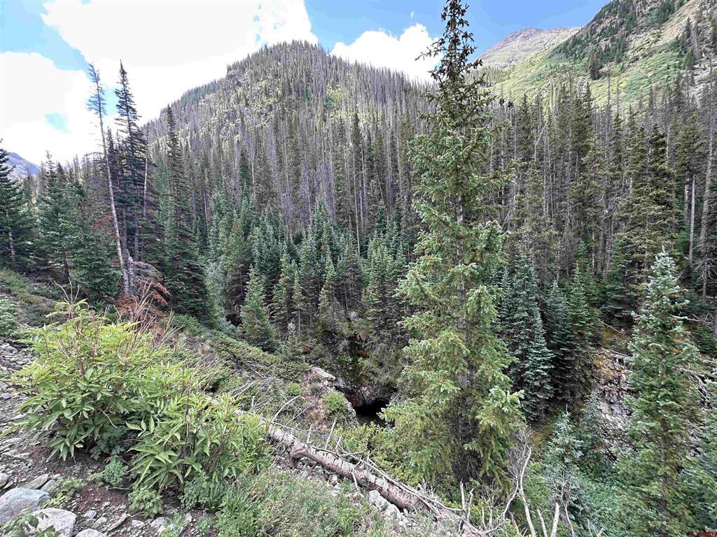 Forester Cr 23 Property Photo 2