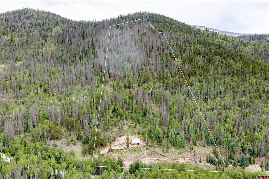 2540 Usfs Rd 503 Property Photo 5