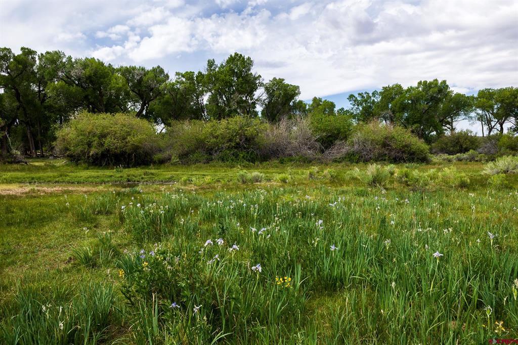 Tbd County Road 16 Property Photo 4