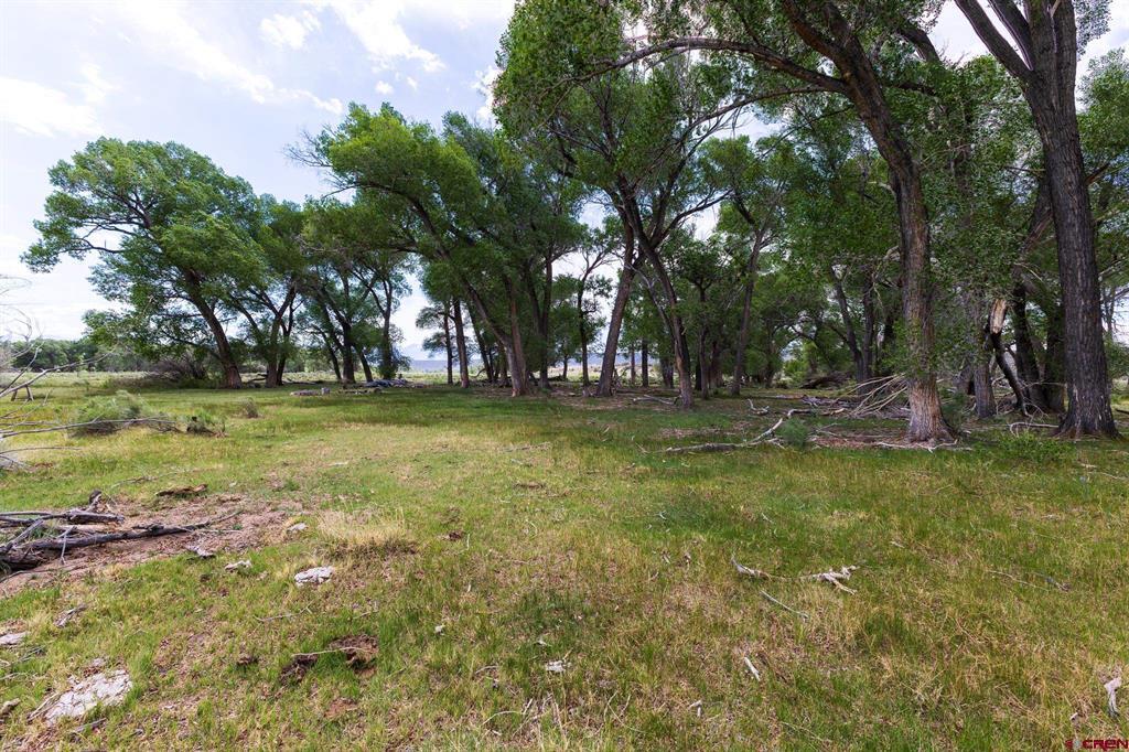 Tbd County Road 16 Property Photo 39