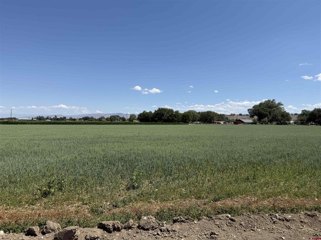 Tbd Orange Rd And 6400 Rd Property Photo 1