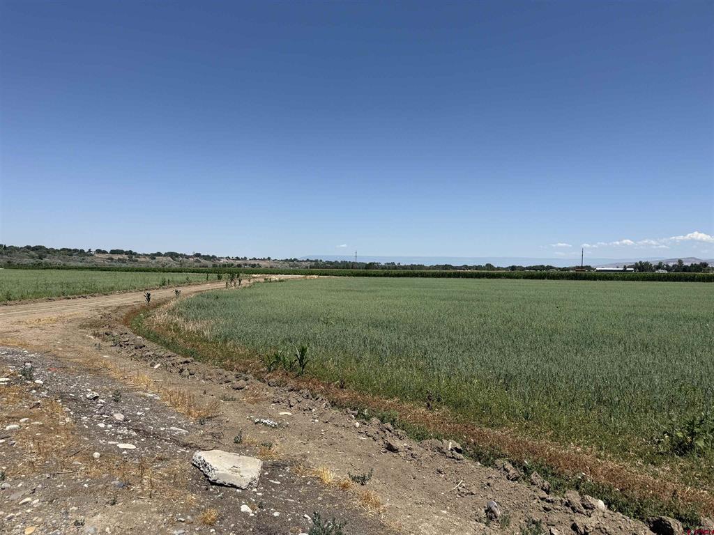Tbd Orange Rd And 6400 Rd Property Photo 5