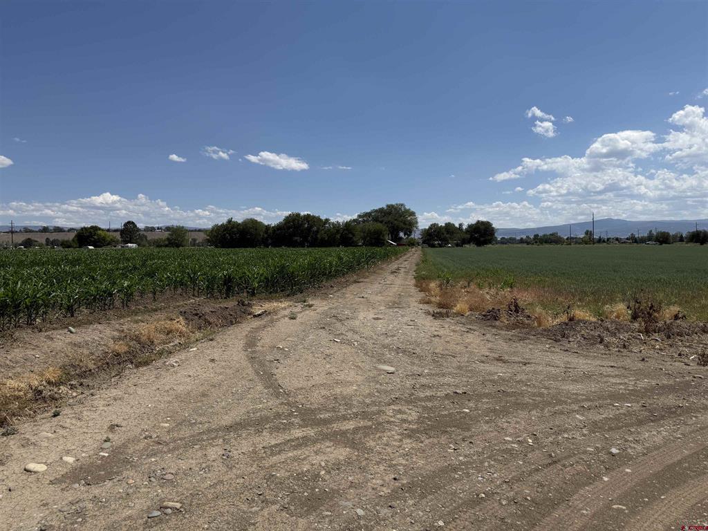 Tbd Orange Rd And 6400 Rd Property Photo 7