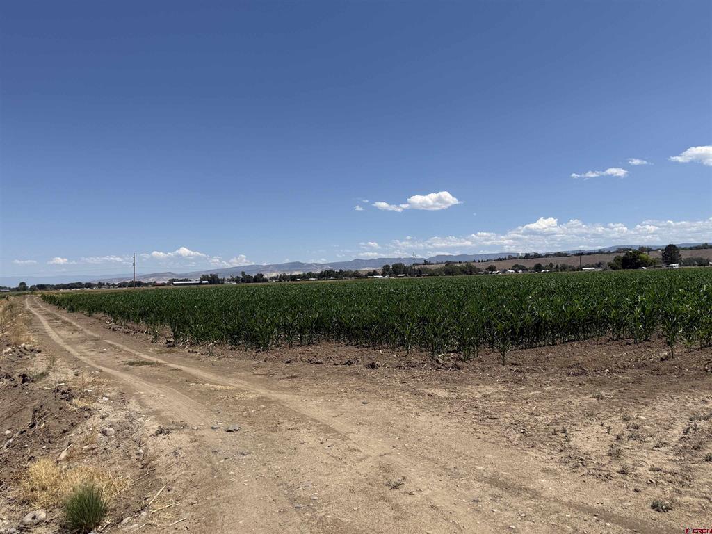 Tbd Orange Rd And 6400 Rd Property Photo 9